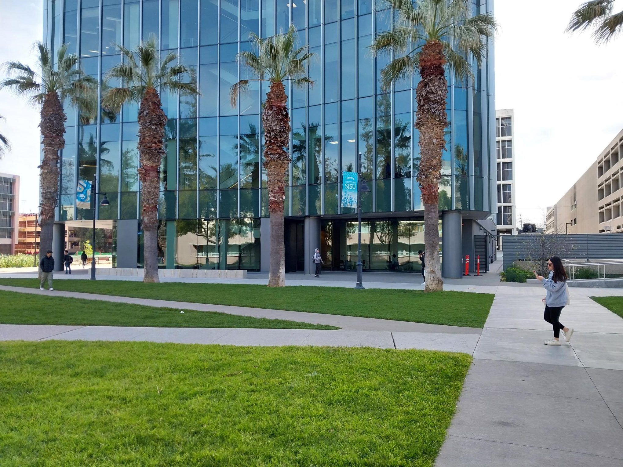 Close up of main entrance of the SJSU Interdisciplinary Science building flanked by palm trees.